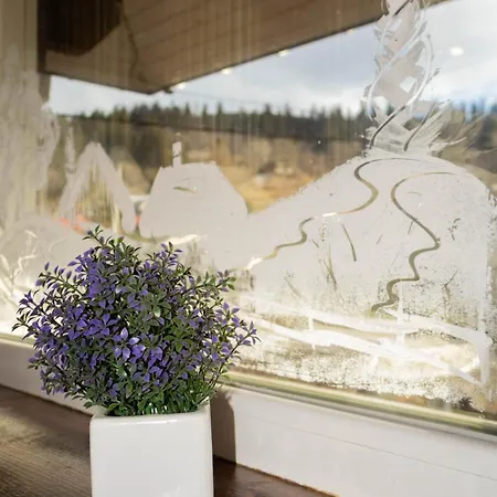 кольорові подорожі 2 * Slavske